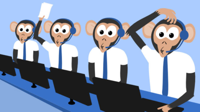 Monkeys-800x450